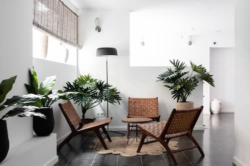 Terreno Suites