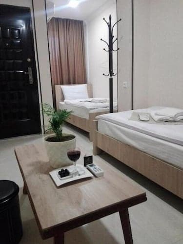 Hotel Petre Palace