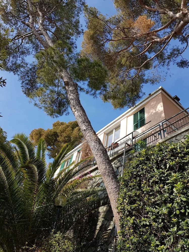 Lovely Apartment on the Ligurian Sea