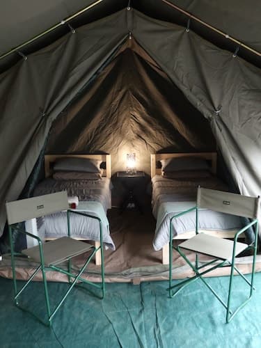 Kruger Park Tours