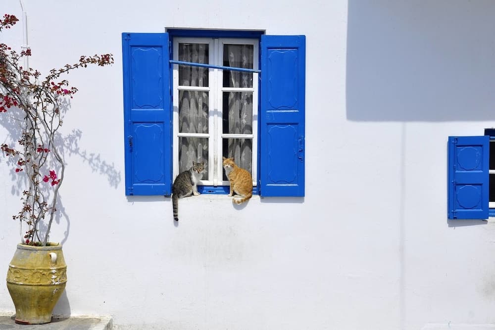 Cavo Mykonos Apartments