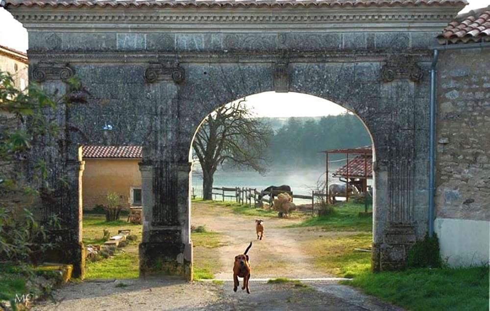 Ecurie du Domaine de Chantemerle