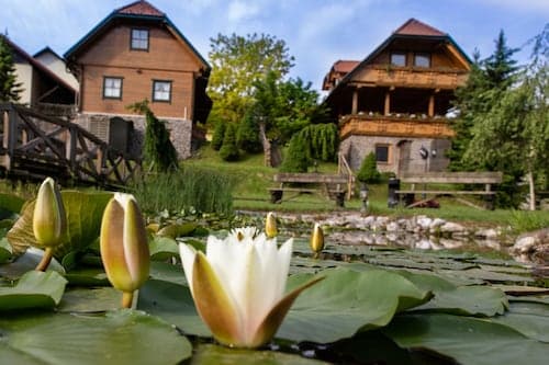 Apartments and wellness center Korošec