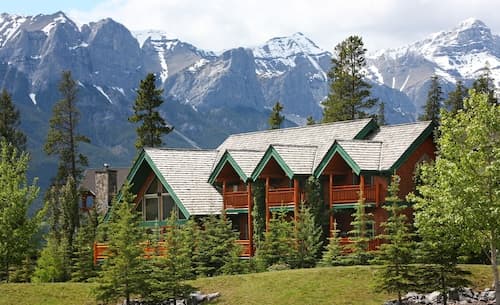 A Bear and Bison Inn