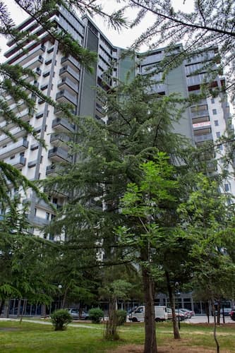Luxury Apartments