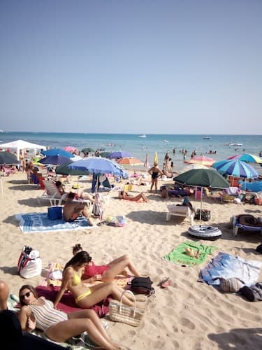 Al Faro