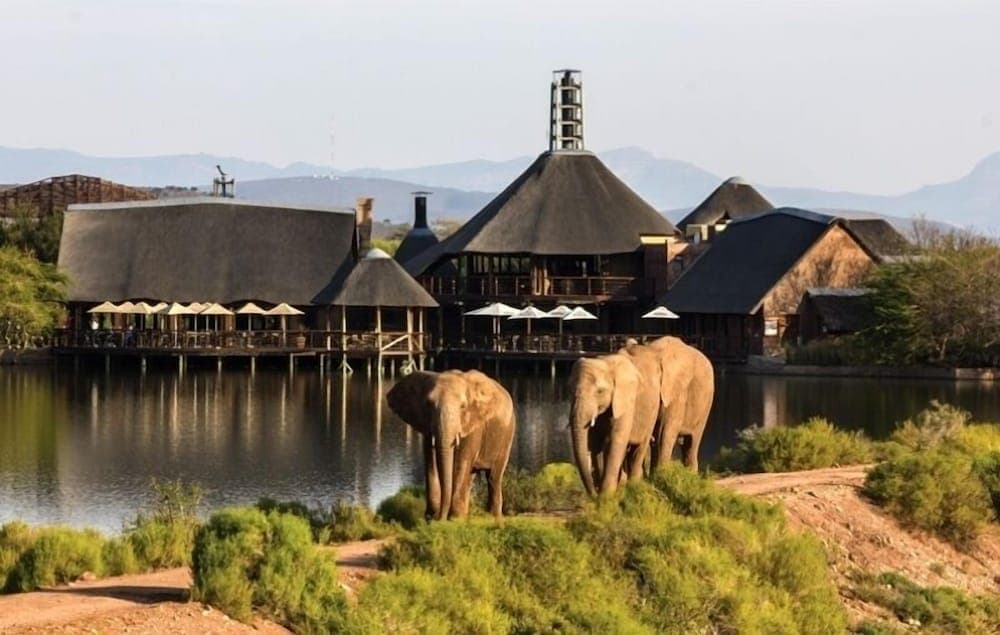 Buffelsdrift Game Lodge