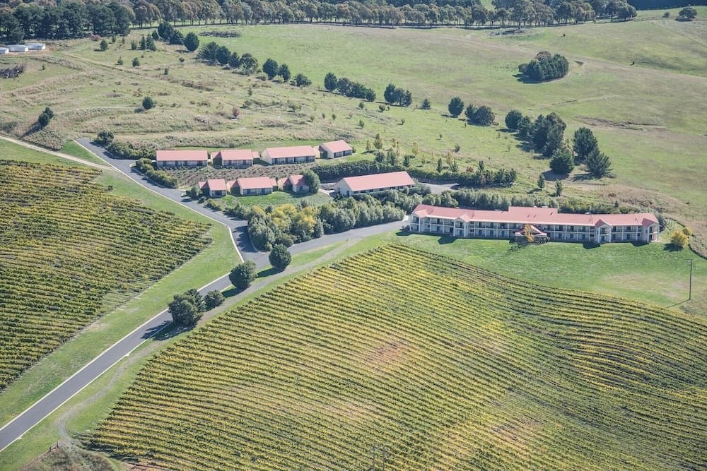 Turners Vineyard