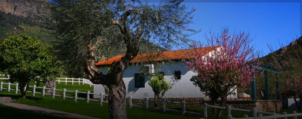 Casas Rurales Aldeaduero
