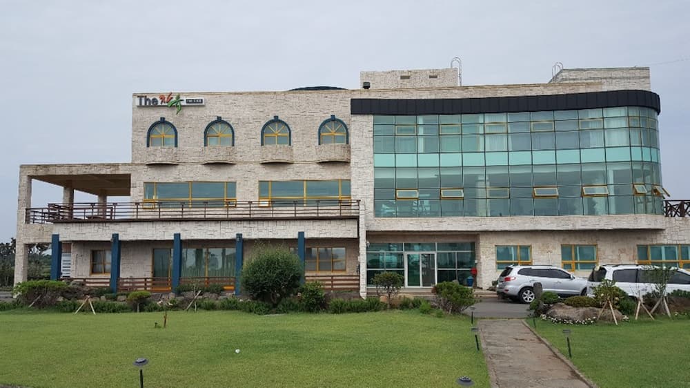 The Freedom - Hostel