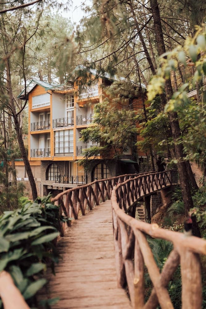 Kasauli Hills Resort