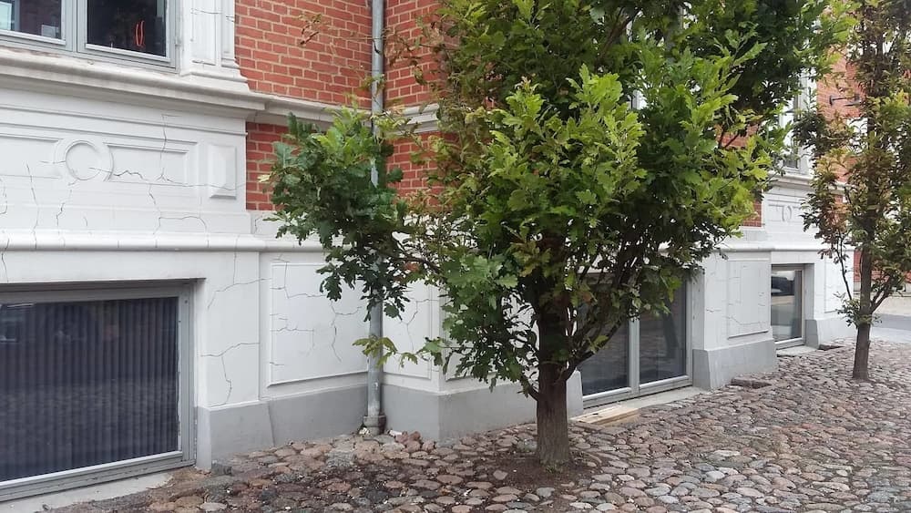 Thorsgade 1A