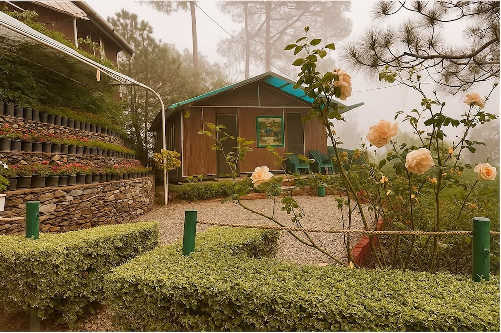 The Cocoon Camps & Nature Resorts