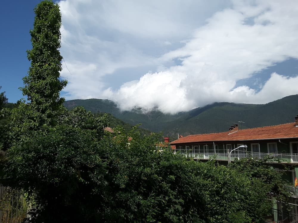 Villa dell'Arte
