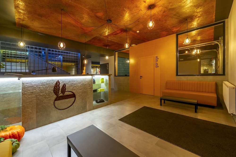 Friday Center - Hostel