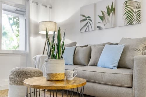 Alani Bay Premium Condos