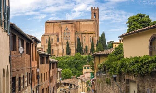 Rinidia Siena Celso Cittadini