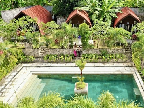 Jungle Paradise