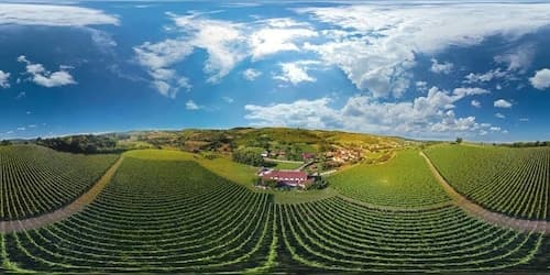 Stupnički Dvori