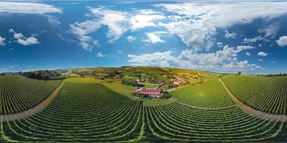 Stupnički Dvori