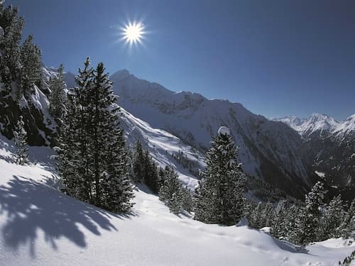 Cosy Holiday Flat Close to the ski Area