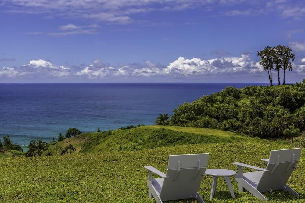 Hale Lani 1 Bedroom Home by RedAwning
