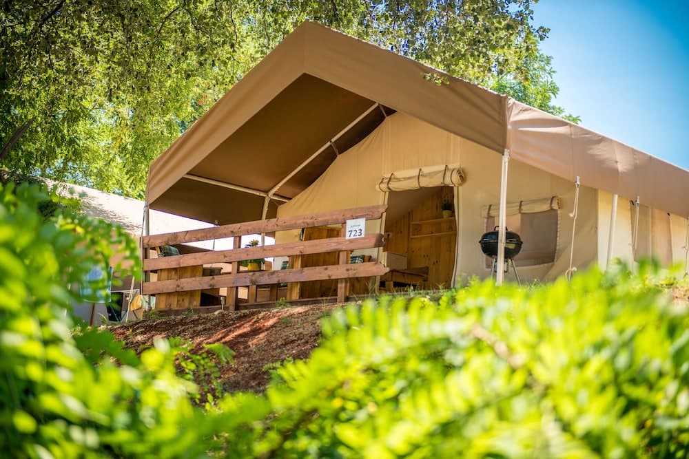 Sunflower Camping