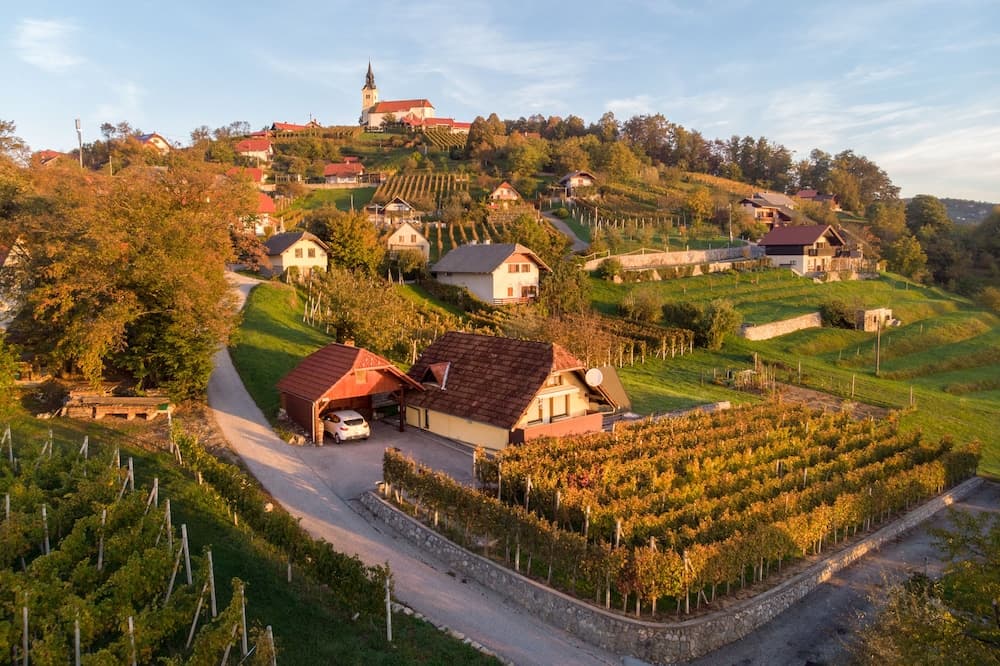 Vineyard Cottage Hocevar