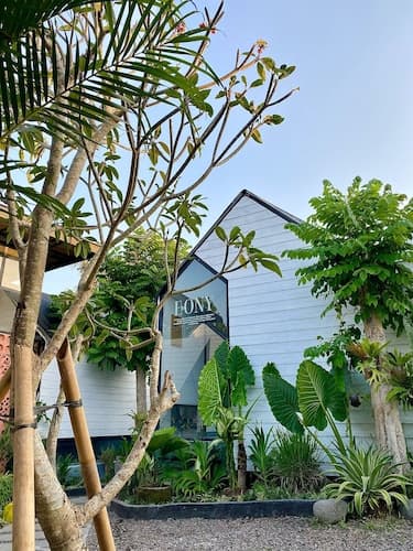 The Jungle Hostel Canggu