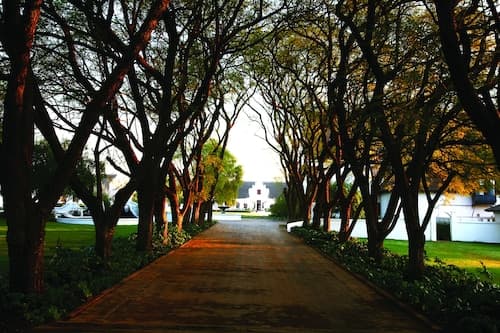 Kievits Kroon Gauteng Wine Estate