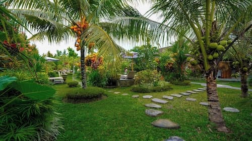 Green Coconut Cottage