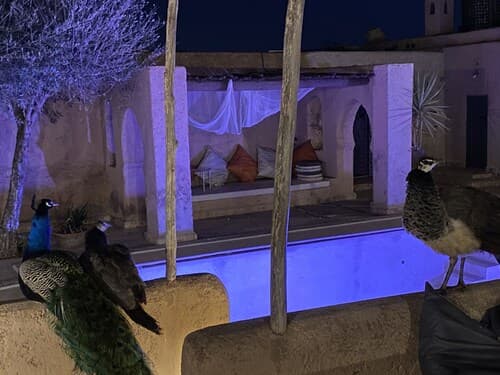 Marrakesh 6-bed Housing Authentic Berber