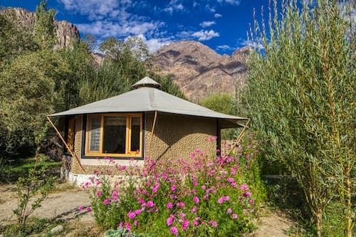 Chalet Seabuckthorn
