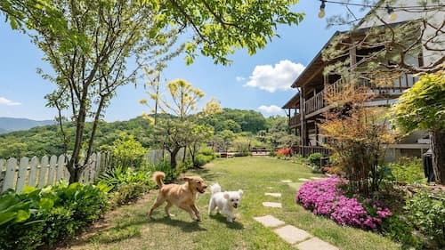 Gapyeong Art Pension