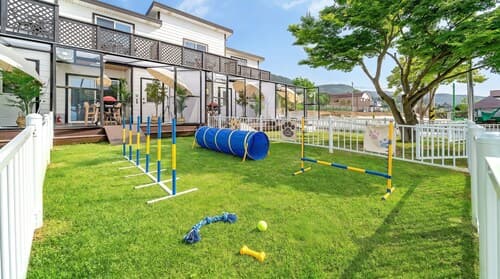 Yeosu Dangdangi Dog Family Pension Gold