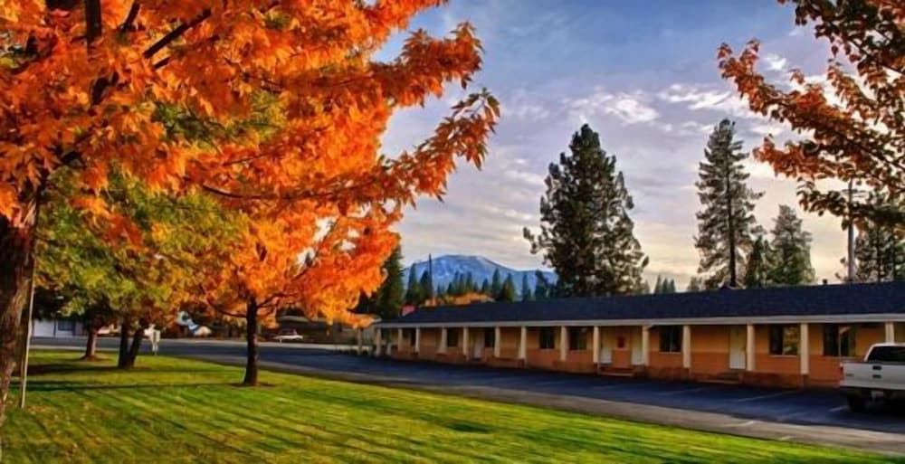 Shasta Pines Motel & Suites