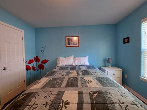 Blue Bird Hill with Deck & Middle of Branson Location