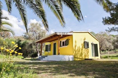 Cute Yellow Handmade House With Garden