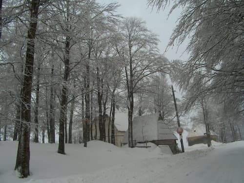 Remarkable 3-bed House in Zabljak