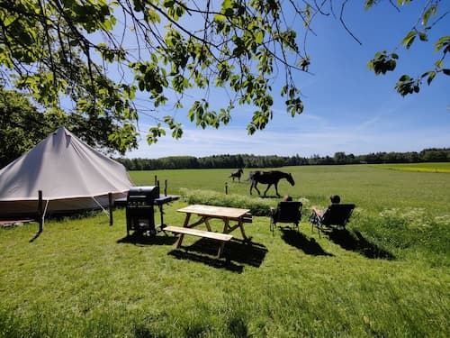 Under Canvas Bornholm
