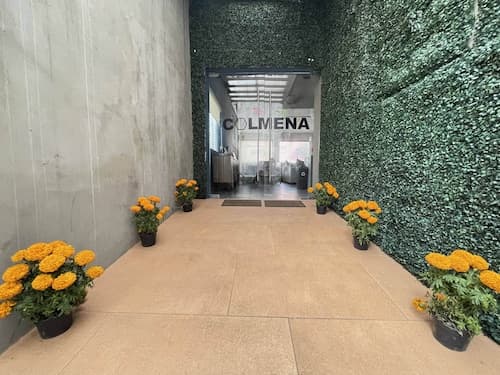 Colmena Hotel CDMX Tonala