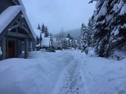 23 Treeline