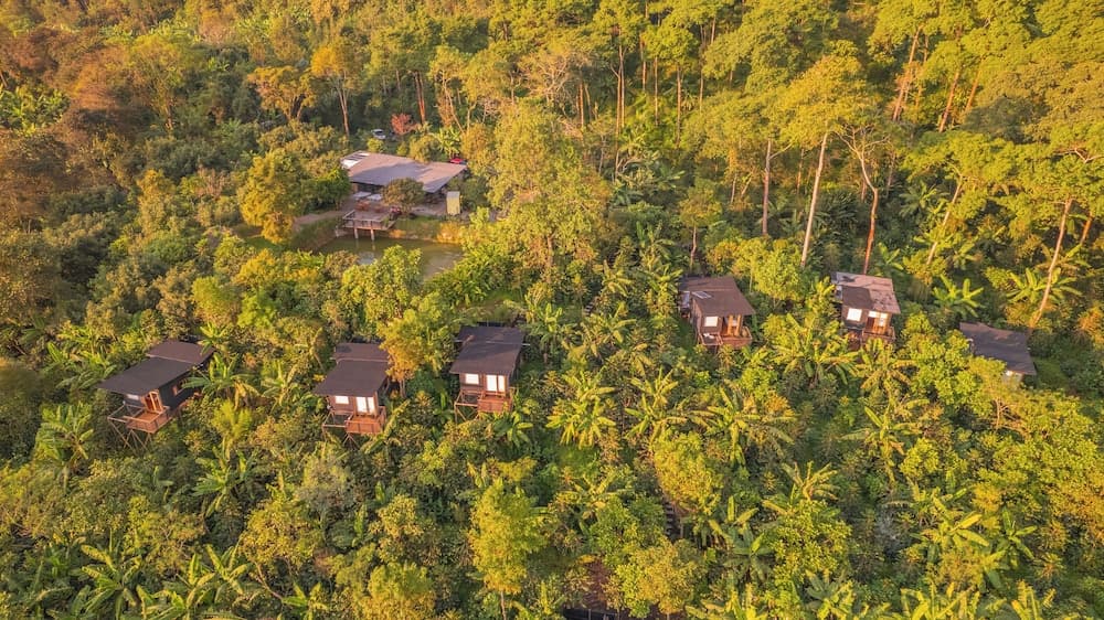 Hotel La Palma y El Tucan - Coffee & Nature