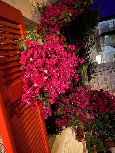 Badem İçi Alaçatı Otel