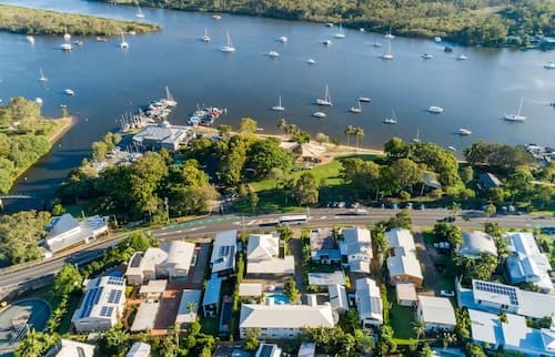 Noosa River Palms