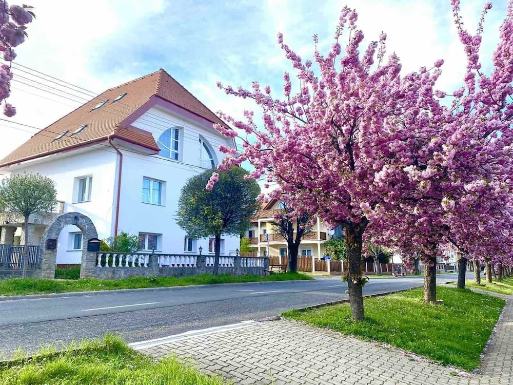 Amadeus Villa