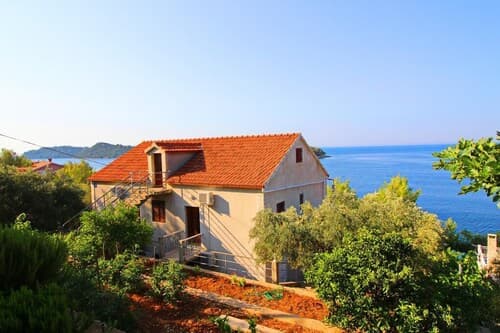 Apartments Bacic