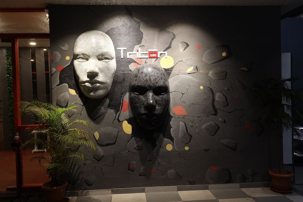 Hotel Triton
