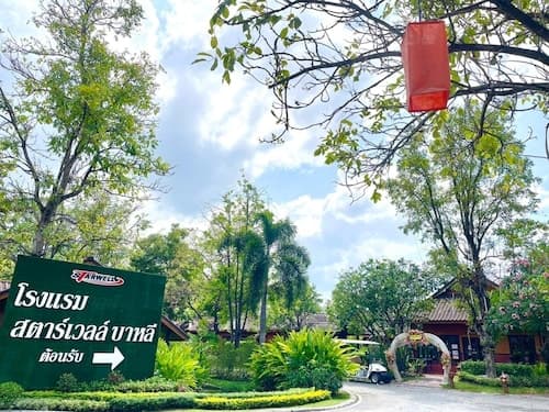 Starwell bali resort