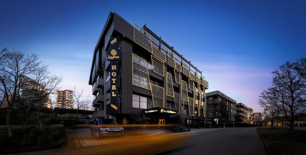 The Alpfine Hotel